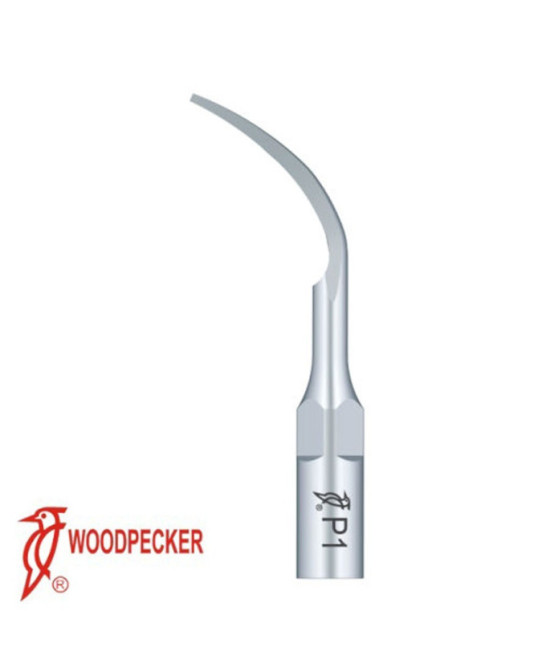 Ansa parodontologie P1 Woodpecker - Ansa P1 Woodpecker