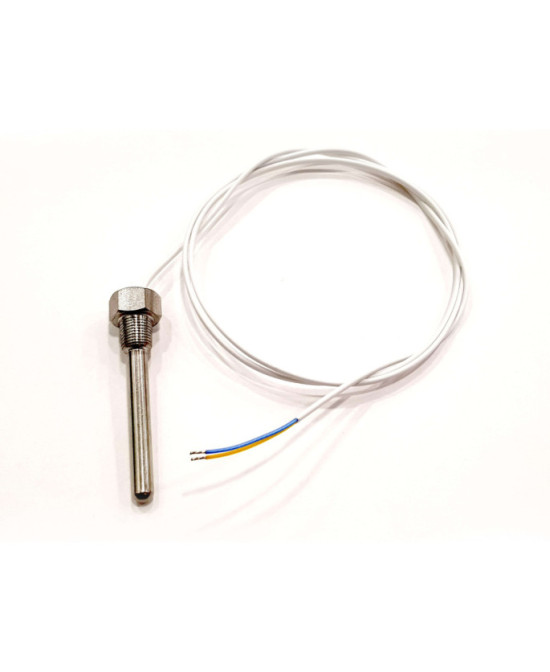 Senzor temperatura camera sterilizare P&T - Senzor temperatura autovlav