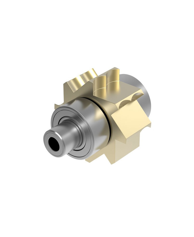 Kit de reparatie pentru turbina W&H 398/795/895/898/798 - rotor turbine
