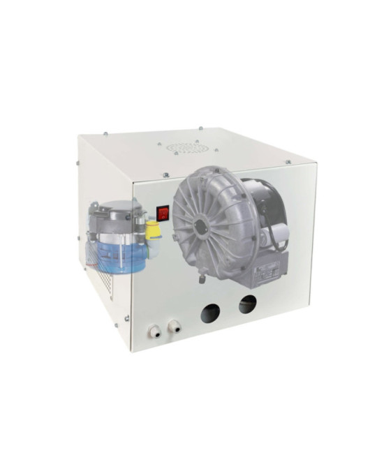Pompa vacuum Luzzani Airmatic cu carcasa si separator Durr CS-1