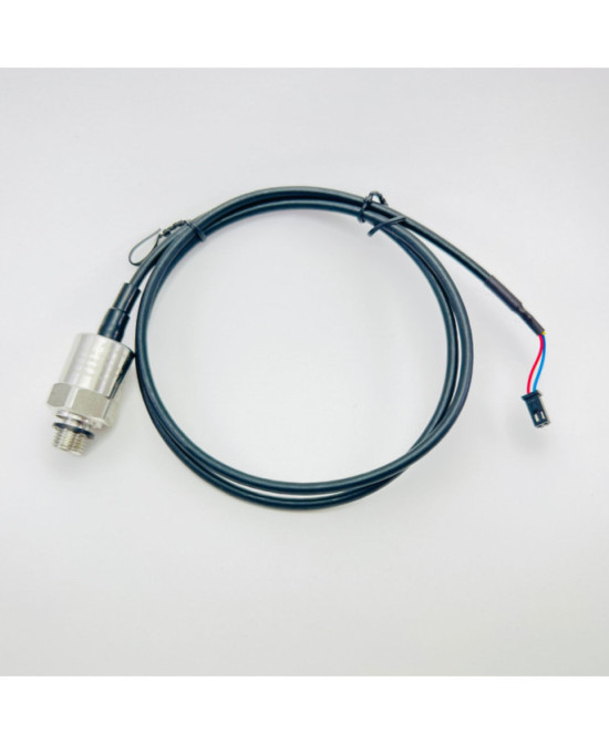 Senzor presiune autoclav BMS