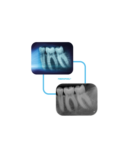 PSPIX® 2 - ACTEON
