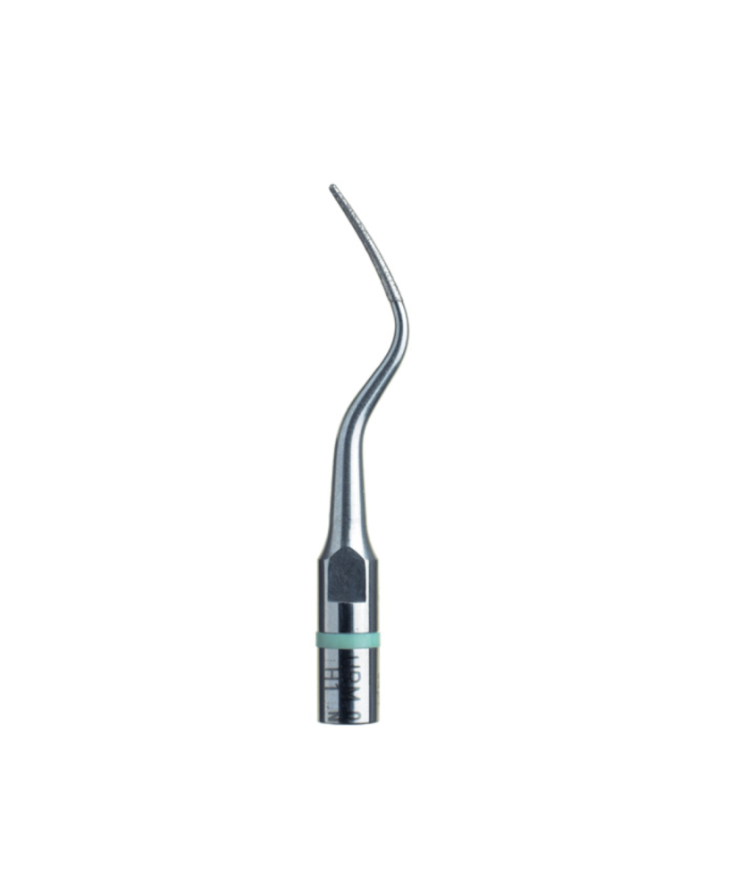 Ansa H1 - Acteon