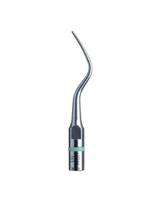 Ansa H1 - Acteon
