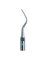 Ansa H1 - Acteon