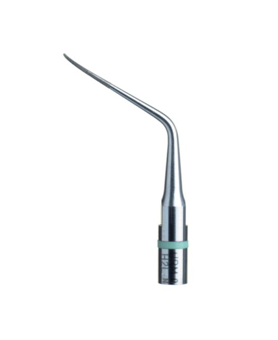 Ansa H2L - Acteon