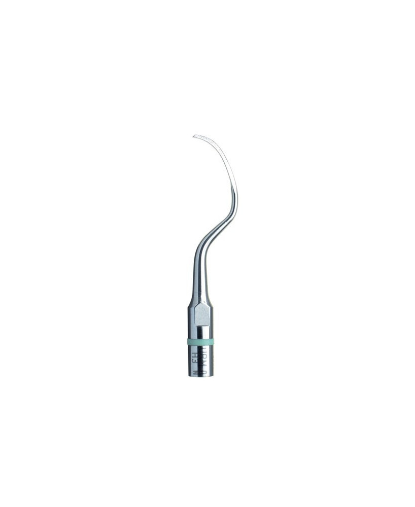 Ansa H3 - Acteon