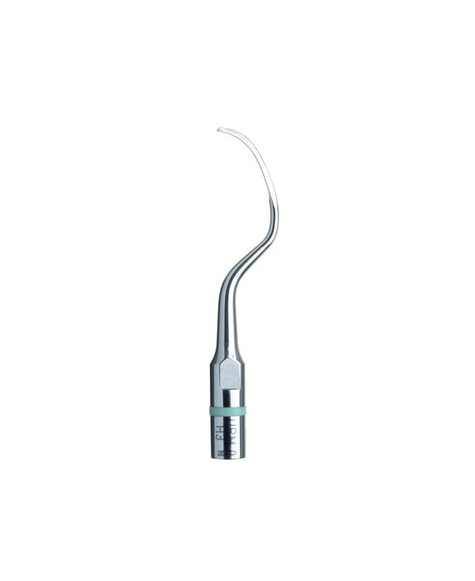 Ansa H3 - Acteon