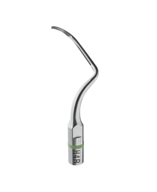 Ansa H4R - Acteon