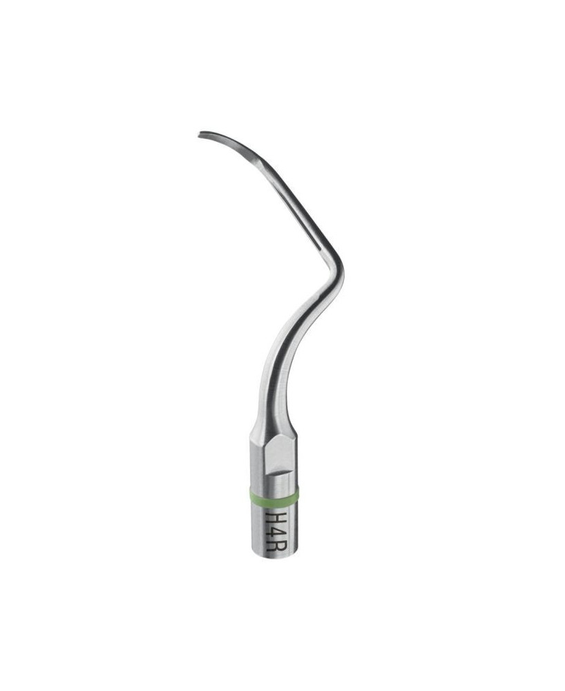 Ansa H4R - Acteon