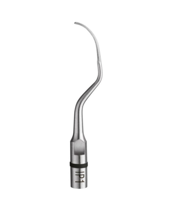 Ansa IP1 - Acteon