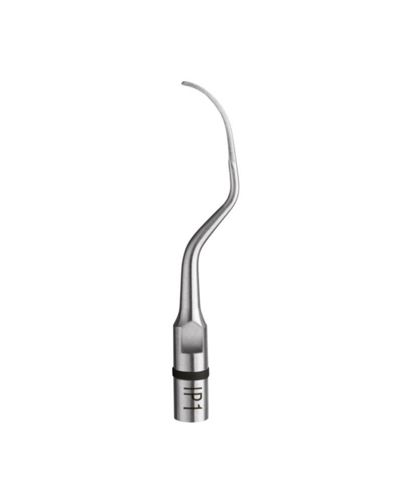 Ansa IP1 - Acteon