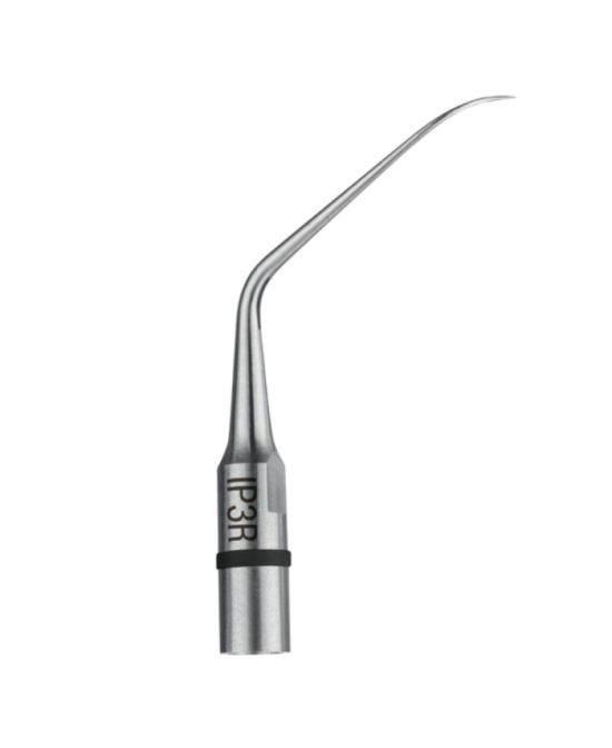 Ansa IP3R - Acteon