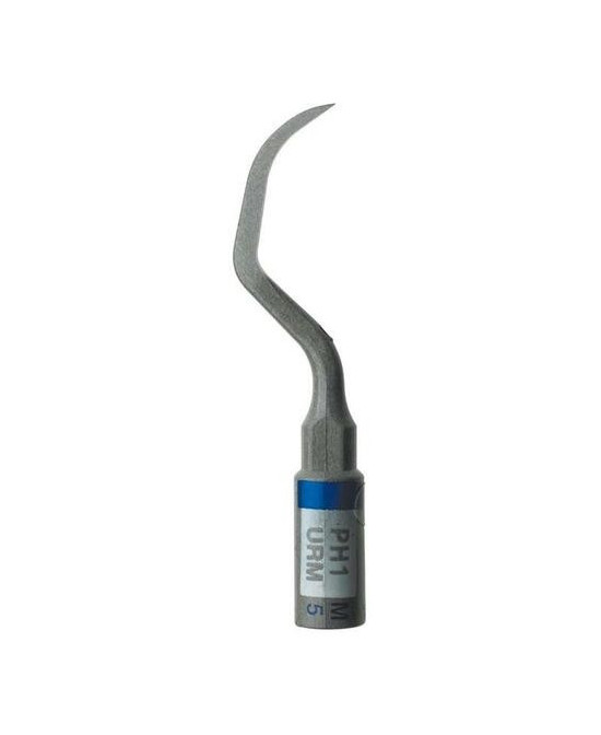 Ansa PH1 - Acteon