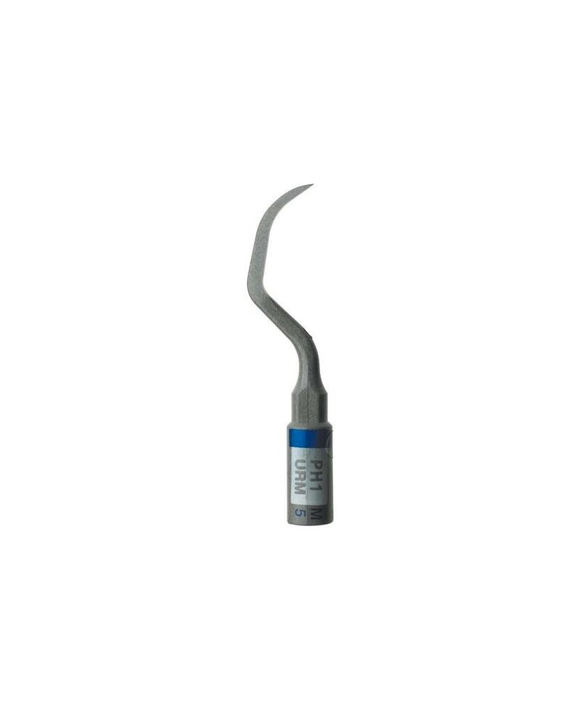 Ansa PH1 - Acteon