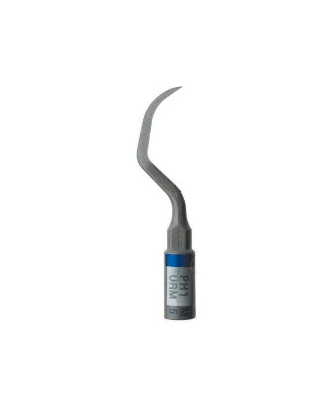 Ansa PH1 - Acteon