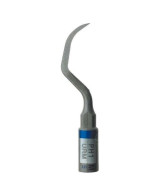 Ansa PH1 - Acteon