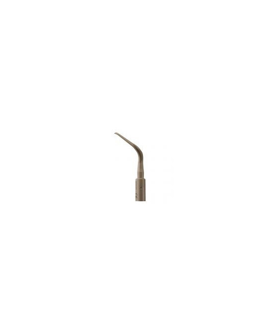 Ansa PH2L - Acteon