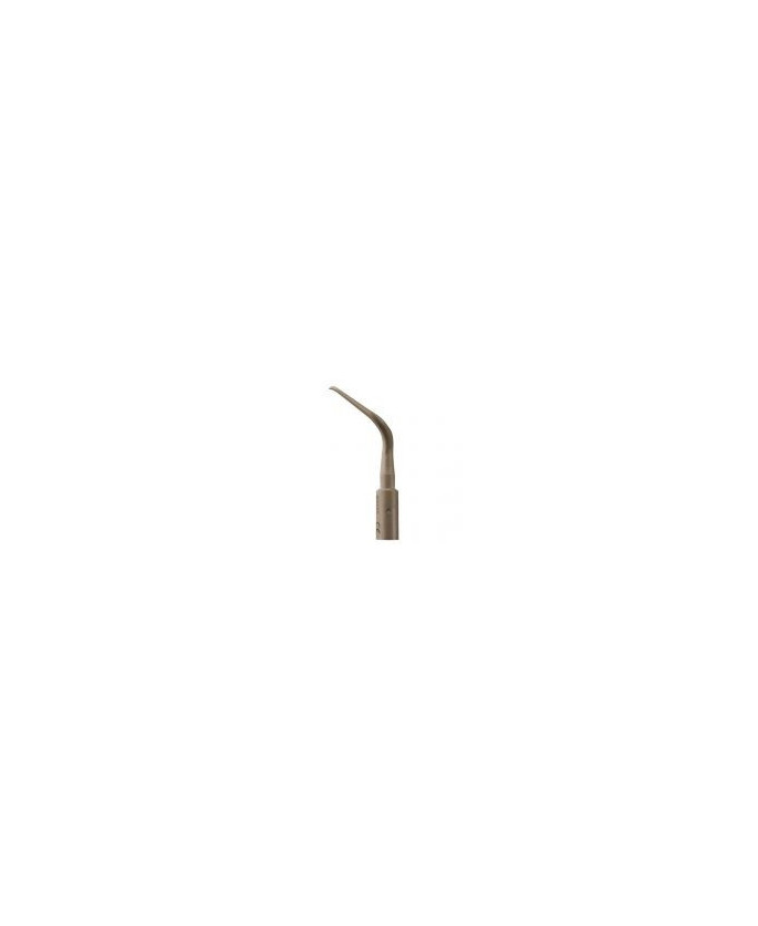 Ansa PH2L - Acteon