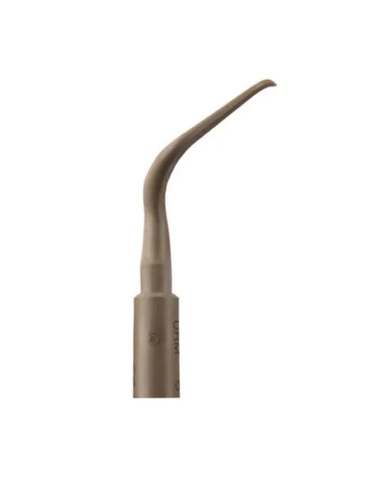 Ansa PH2R - Acteon