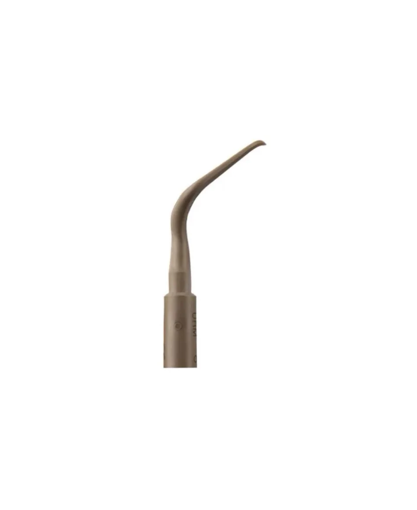 Ansa PH2R - Acteon