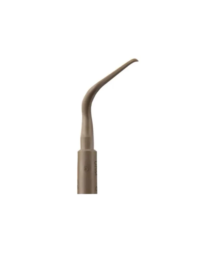 Ansa PH2R - Acteon