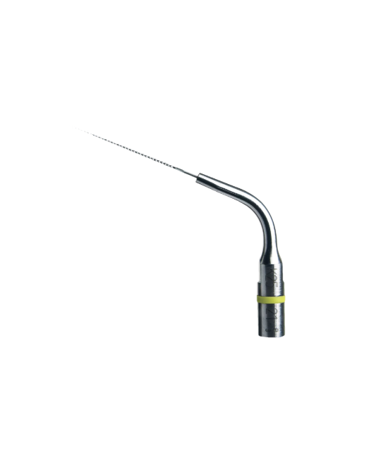 Ansa K25-21 - Acteon