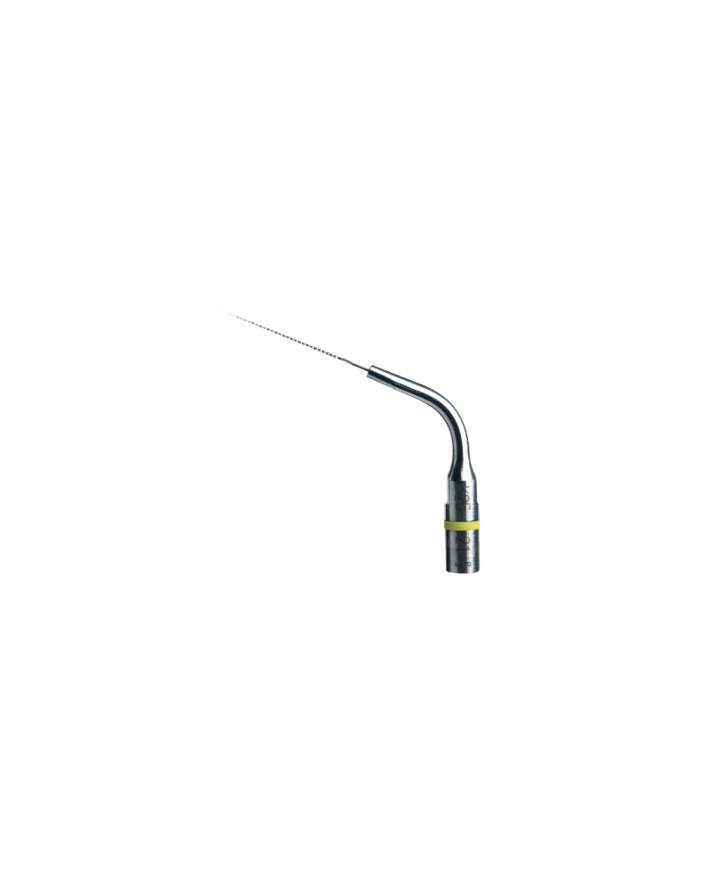 Ansa K25-21 - Acteon