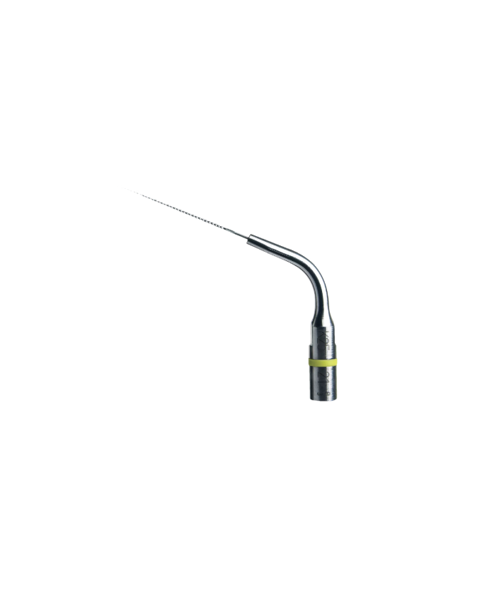 Ansa K25-21 - Acteon