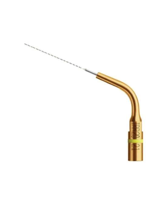 Ansa IRR 20-21 - Acteon