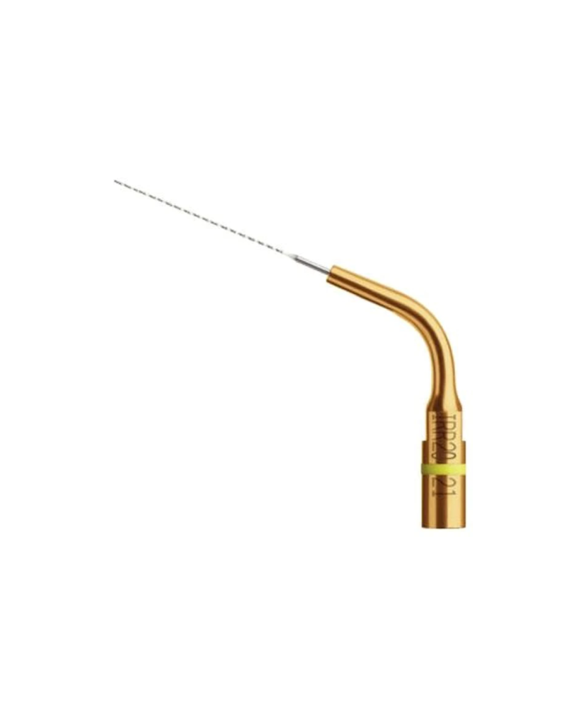 Ansa IRR 20-21 - Acteon