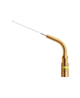 Ansa IRR 20-21 - Acteon