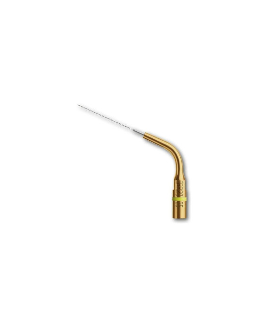 Ansa IRR 20-25 - Acteon