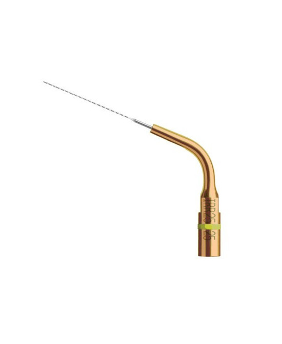 Ansa IRR 25-21 - Acteon