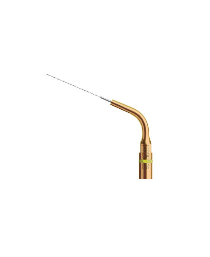Ansa IRR 25-21 - Acteon