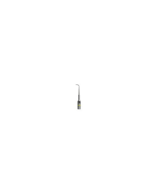 Ansa P14D - Acteon