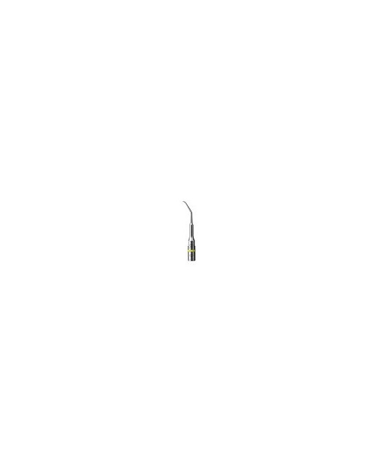 Ansa P15LD - Acteon