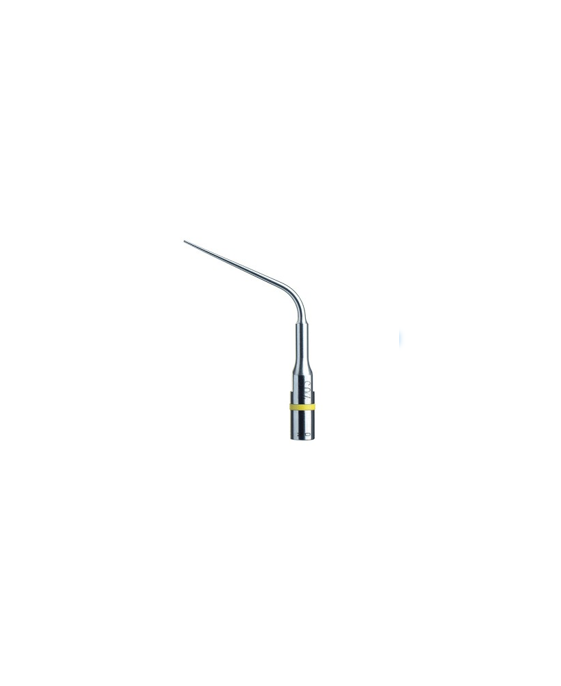 Ansa SO4 - Acteon