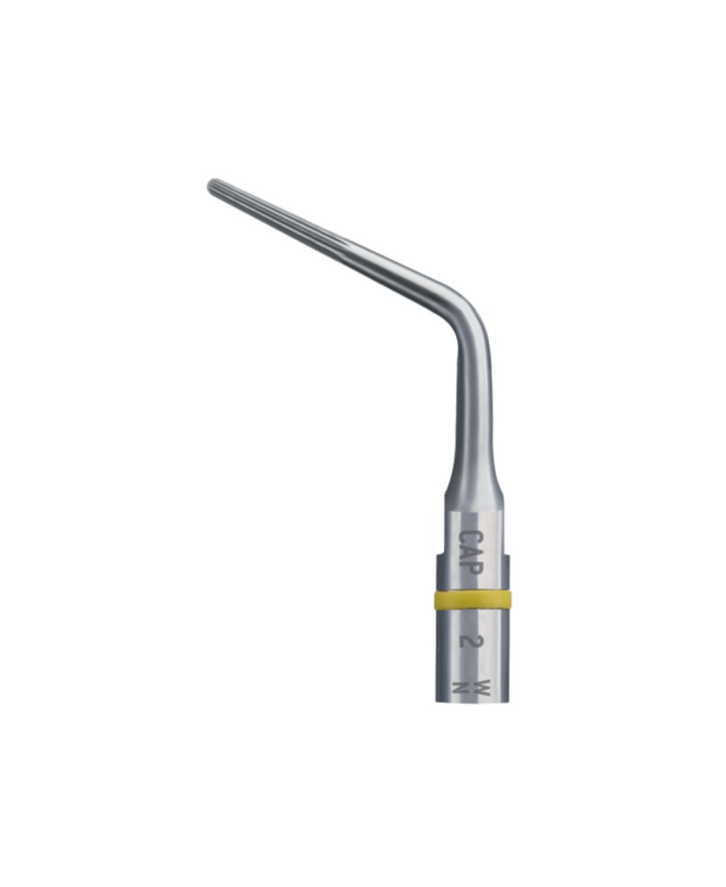 Ansa CAP3 - Acteon