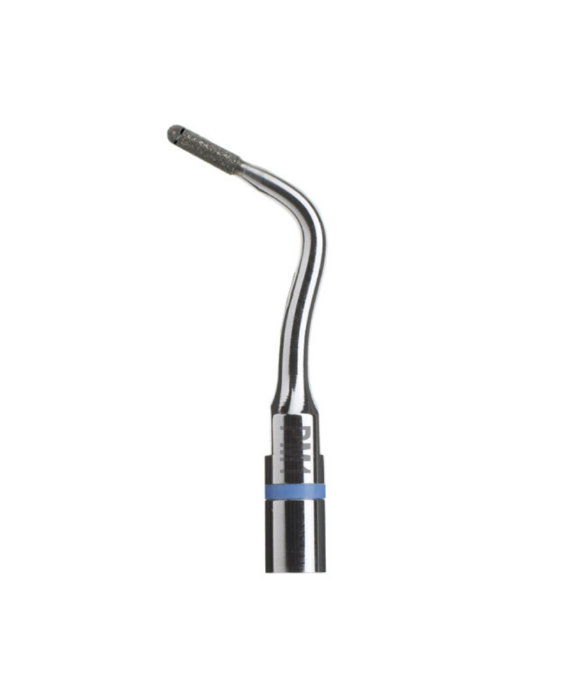Ansa PM1 - Acteon