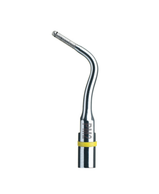 Ansa PM2 - Acteon