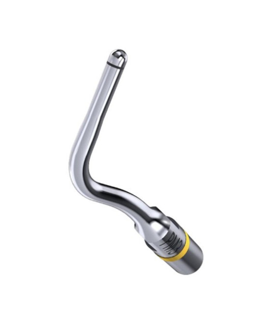 Ansa PM3 - Acteon