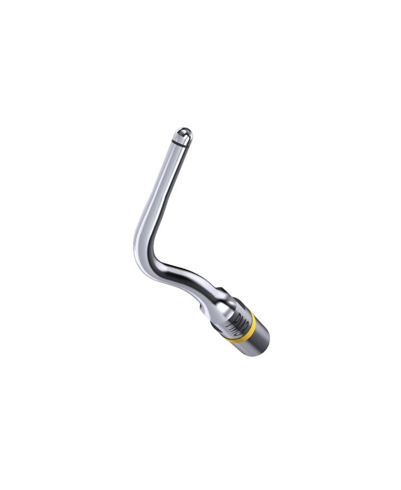 Ansa PM3 - Acteon