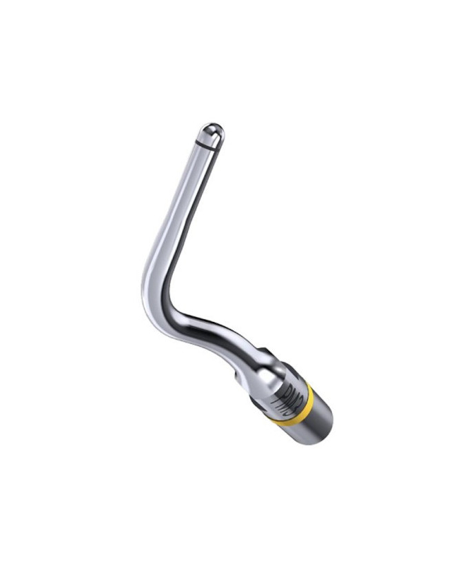 Ansa PM3 - Acteon