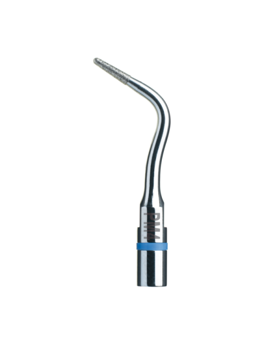 Ansa PM4 - Acteon