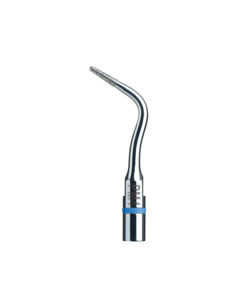 Ansa PM4 - Acteon