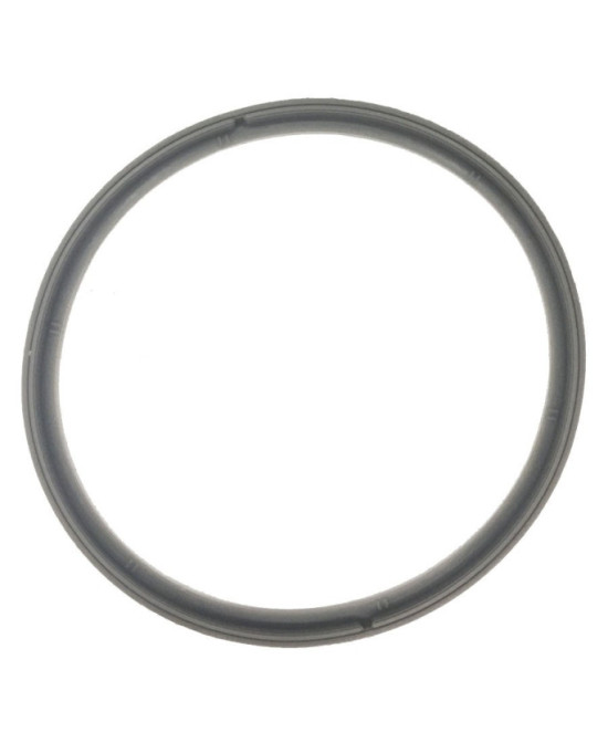 Garnitura usa autoclav 23L - Garnnitura etansare usa autoclav